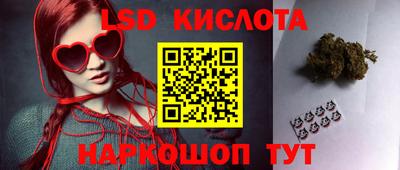 a pvp Свободный