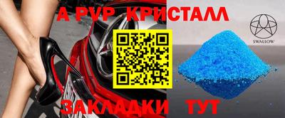 a pvp Свободный