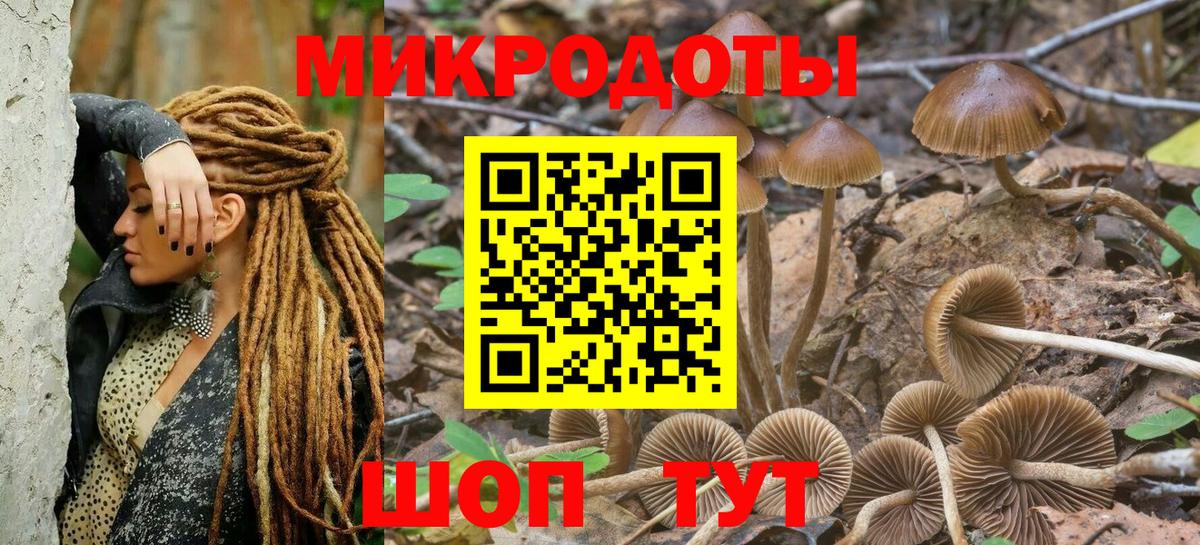 Галлюциногенные грибы Psilocybe  Вход с VPN  Псилоцибиновые грибы Cubensis  Петрозаводск 